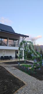 Infinity View Chalet - 9