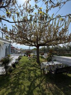Vila PANORAMA - 8