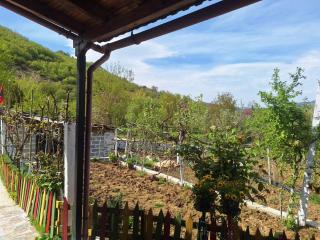 Spring Village Home - 5