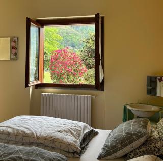 B&B Il Picchio - 5