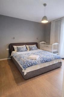 Premium Apartment Pools, Gym,Green Park - 3
