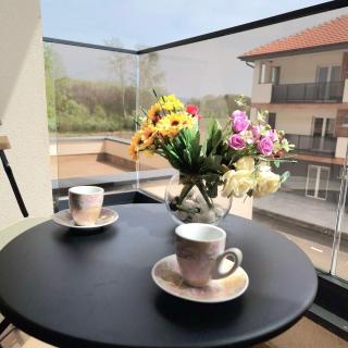 Silver Nest - 1