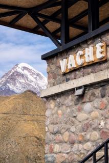 Vache Hotel - 1