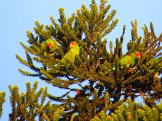 Casa de Campo Santa Paulina - 8
