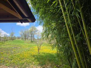 Cabana Lacuri Olanesti - 7