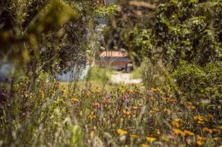 Dar El karma Chalet Double - 1