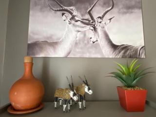 Namibia Farmstay Soetblomspan - 1