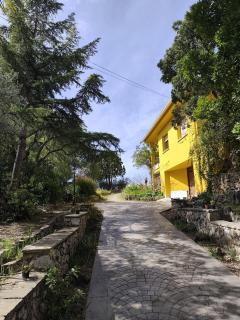 Cal Morera, Pau entre vinyes - 1