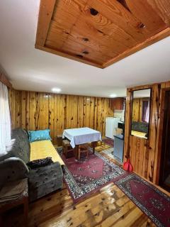 Apartman Rakovica Zlatibor - 2