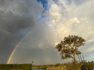 Alquiler por Dia Alca!!!! - 8