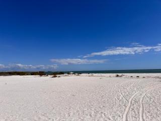 Go to the beach from expansive heated pool home - 6