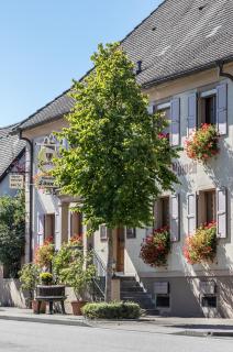 Hotel Löwen Garni - Oberrimsingen - 4