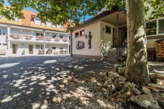 Hotel Löwen Garni - Oberrimsingen - 5