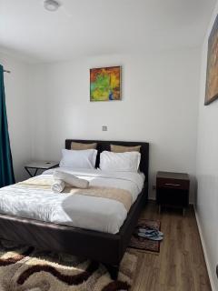 The Spring Collection - 1