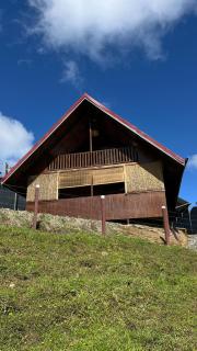 Cabaña 1 Alajuela, San Carlos, Venecia, Marsella - 8