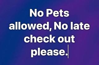 A Calm & Quiet Stay - 8