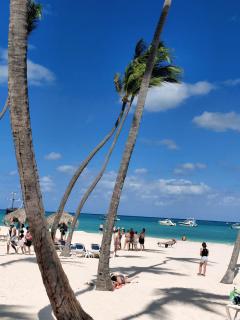 Modern Apartment with Pool in Bávaro Minutes from the Beach - 5