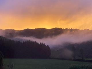 Woodside Bed and Breakfast - 9