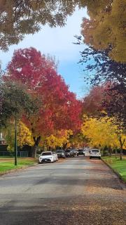 Sunshine Home Vancouver Near UBC, DT, YVR - 5