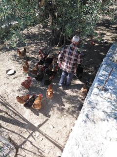 Earth Live-na Agrotοurism - 2