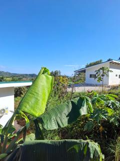 Pura Vista Lodge - 6