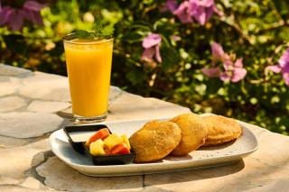 Coral De Fuego Isla Fuerte - 7