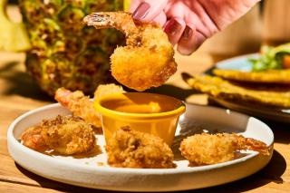 Coral De Fuego Isla Fuerte - 3