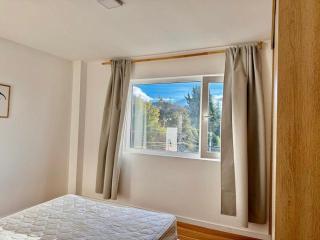 Apart Plaza Catedral Francisco Pascasio 618 San Carlos de Bariloche - 4