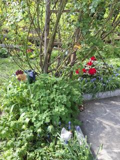 Ferienwohnung Moosegger - 2