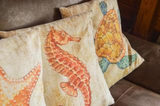 美ら海水族館まで車3分-日本最大の蝶オオゴマダラの観察ok - 3