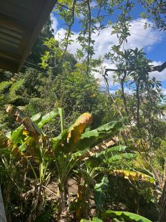 CJ's Creole Hideaway - 4