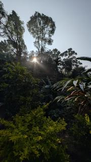 Winter Bloom Homestay Munnar - 3