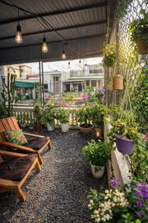 An house Ninh Binh - 4