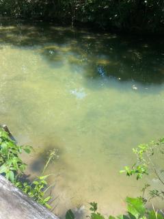 Rancho ABA DO BETIONE - 3