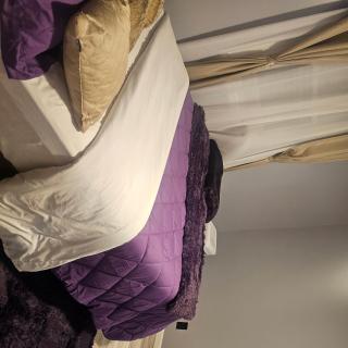Cozy & Roomy Apt close to all - 1