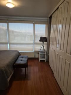 Providencia Departamento lado Metro Pedro de Valdivia - 5