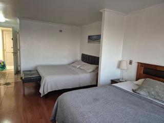 Providencia Departamento lado Metro Pedro de Valdivia - 2