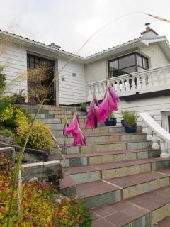 Kilbree House B&B - 3