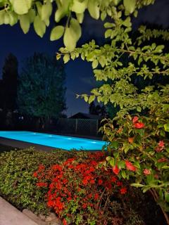 Luxury Loft Ai 2 lecci Relaxing oasis with pool - 9