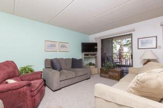 Padre Oasis #302 - 1