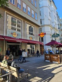 City Apartment Stephansdom - 6