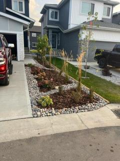 Starling Modern House - 4