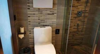 Lavande Hotel Shanghai Jing'an Shibei Gaoxin - 2