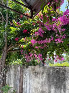 Ánh Dương Local Mini Tour - 9