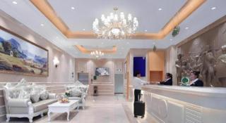 Vienna Hotel Qinghai Dachaidan - 8