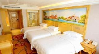 Venus International Hotel Heilongjiang Qiqihar Longhua Road Middle Ring Dashan New Market - 5