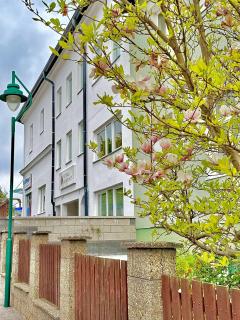 Steiner Residences Mödling - 1