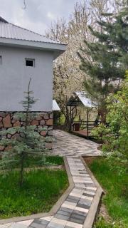 Chimgan Mountain in nature - 7