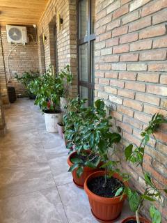 La casa di Elena - 2