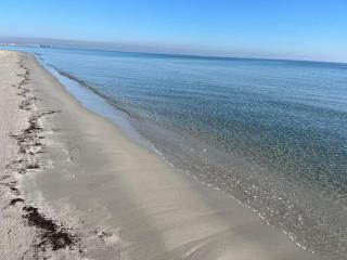 Mar Menor - 8